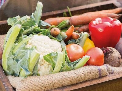 Acuerdo clave entre la Municipalidad de Zapala y el Banco Patagónico de Alimentos