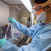 Coronavirus: confirman que hay circulación comunitaria de nuevas variantes en Argentina