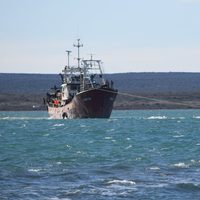 Alerta: por un caso positivo, la tripulación de un barco pesquero está aislada