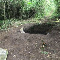 Criminales facilitan mapa para hallar fosa clandestina en Veracruz; hay cuatro cuerpos