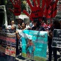 Protestan contra la tauromaquia y a favor de medicina alternativa frente a la casa de transición de AMLO