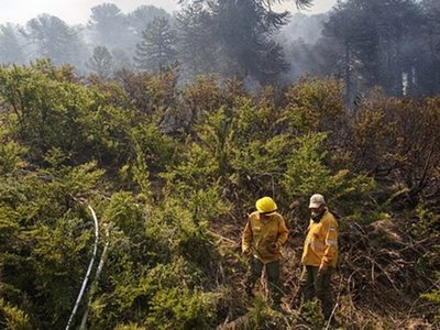 Advierten sobre la posible reactivación del incendio forestal de Aluminé