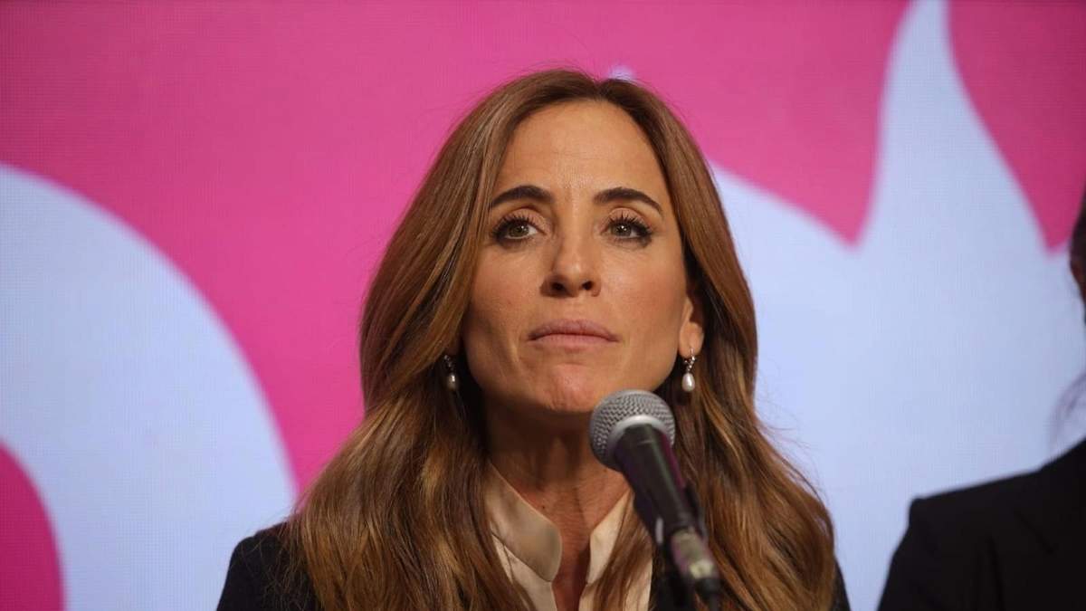 La precandidata a diputada nacional Victoria Tolosa Paz. Fuente: (Twitter)