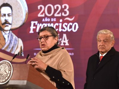 Cercana a AMLO y a Morena, Teresa Reyes renuncia a la Comisión Nacional de Búsqueda