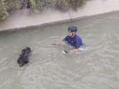 Un policía rescató a un perro que se ahogaba en un canal de riego en Vista Alegre