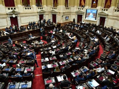Legisladores pidieron armar una comitiva para viajar a Roma