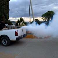 Mueren dos personas por dengue en Oaxaca