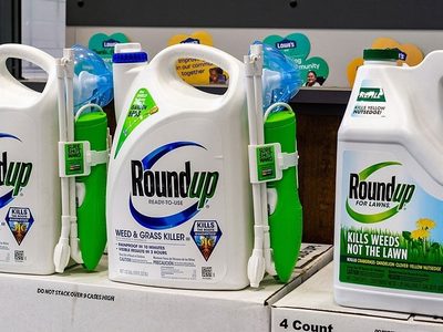 Bayer pierde demanda en un juicio por producto de Monsanto que causó cáncer a una pareja