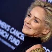 Vaya susto: Sharon Stone y un accidente que casi le cuesta la vida