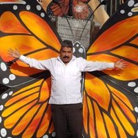 Desaparece Homero Gómez González, defensor de la mariposa monarca en Michoacán