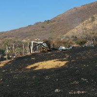 Polvorín que explotó en Jalisco fue clausurado dos veces