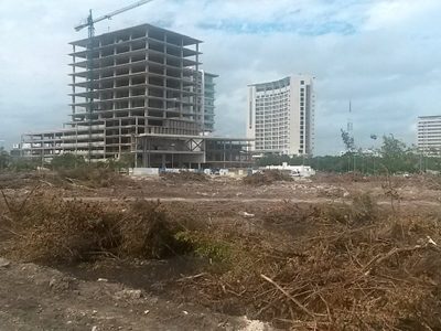 Convocan a "lluvia de amparos" por Tajamar; Profepa verifica si hubo daño a la fauna