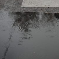 Clima en Neuquén: lunes con nubosidad, viento y lluvias en cordillera