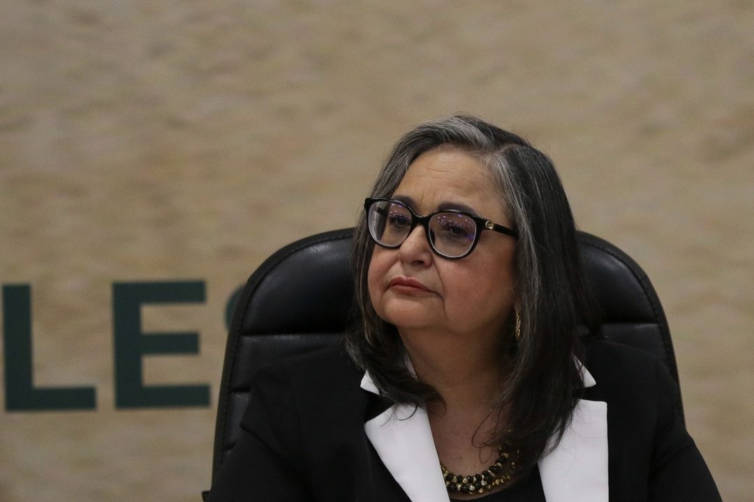 Piña Foto Montserrat López