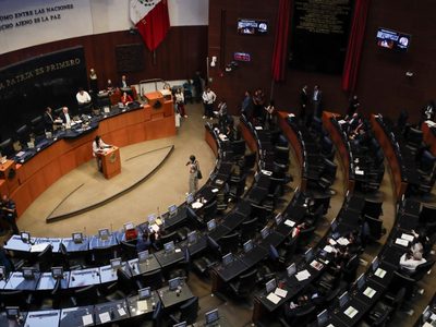 Senado avala por unanimidad reforma para permitir exportación controlada de carne de totoaba