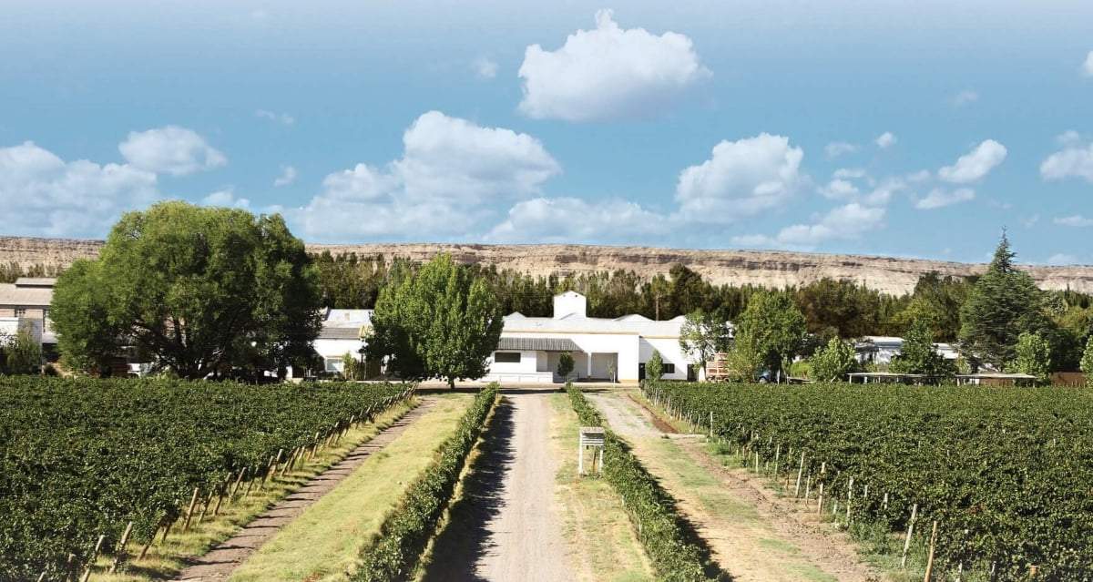 Vinos de la Patagonia en encuentro virtual. Fuente. (Twitter)
