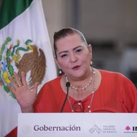 INE espera una “participación altamente copiosa” para la elección judicial: Taddei