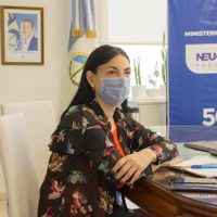 Neuquén: la ministra de salud se refirió al uso del ibuprofeno inhalatorio
