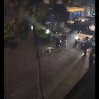 Balacera entre policías y ladrones deja un muerto en el Centro Histórico (Video)