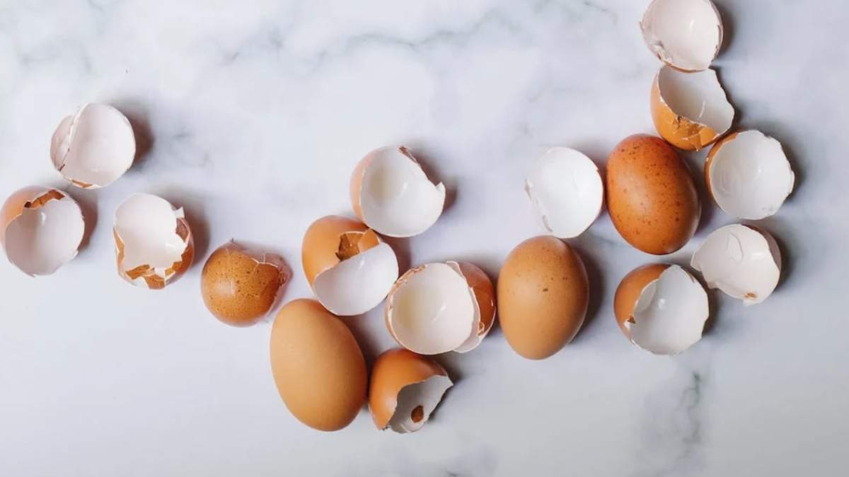 Cáscaras de huevos. Fuente: (Instagram)