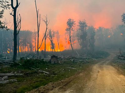 Los incendios en Tierra del Fuego ya destruyeron cerca de 12.000 hectáreas