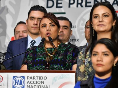 Morena, “200% servilismo”: diputada Adela Ramos