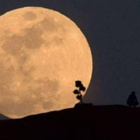 Espectáculo para ver desde el balcón: estrellas fugaces y luna llena