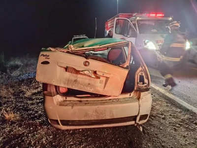 Chocó contra un animal suelto en la ruta 40 y debió ser asistido