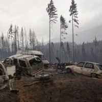 "Siempre amenazaron con prender todo": la RAM de Jones Huala en la mira por el incendio en El Hoyo