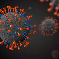 China detectó que 35 personas se contagiaron con un nuevo virus de origen animal