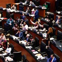 PAN alista plan para frenar extinción de fideicomisos en Senado; buscará al PT y Verde