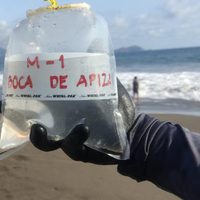 Estas son las únicas 3 playas reprobadas por la Cofepris para las vacaciones de Semana Santa