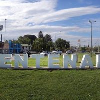 Violento asalto e intento de secuestro a una mujer en Centenario