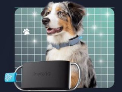 Rastreadores para collar, puertas y comederos inteligentes: las novedades tecnológicas para mascotas