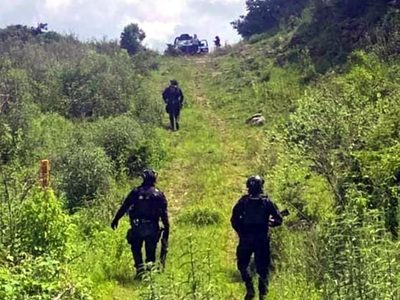 Descubren ocho osamentas humanas en terreno de Tarímbaro, Michoacán