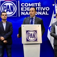 PAN pedirá a la Corte anular resultados de la elección judicial