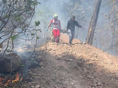 Mueren tres guardabosques en un incendio forestal en Edomex