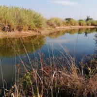 La ONU-DH respalda proyecto de los 'sembradores de agua” en Oaxaca