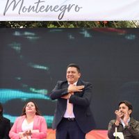Investigan desaparición de perros comunitarios en Tlayacapan; llaman a población a aportar pruebas