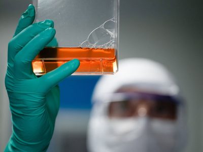 Suero equino hiperinmune: se aplicará o no en Río Negro
