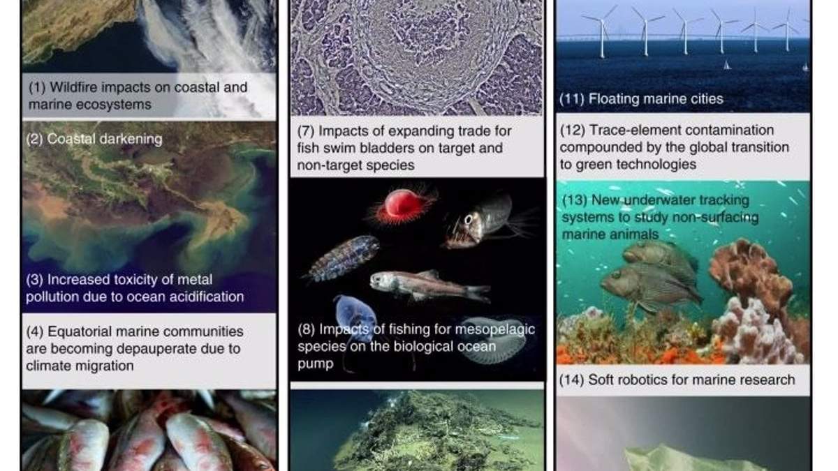 15 cuestiones que pueden tener un impacto significativo en la biodiversidad marina y costera
