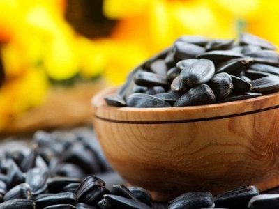 Cómo germinar y cultivar tus propios Girasoles desde una simple semilla: el secreto que no falla