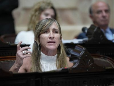 Jueces sin antecedentes partidarios: el proyecto de la mendocina Llano