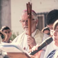 El modelo Croxatto: en vez de cayado, callado