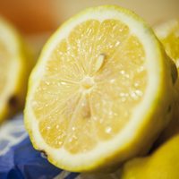 Suspenden temporalmente la exportación de limones a la Unión Europea