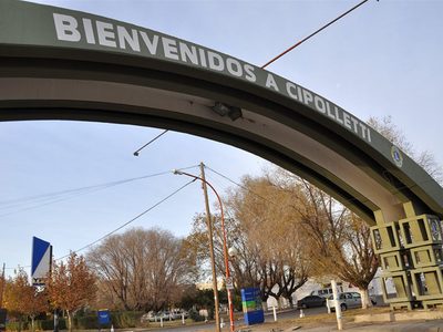 "Plaga peligrosa": Alerta en Cipolletti