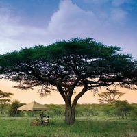 Los destinos turísticos de naturaleza fueron los más elegidos por los viajeros