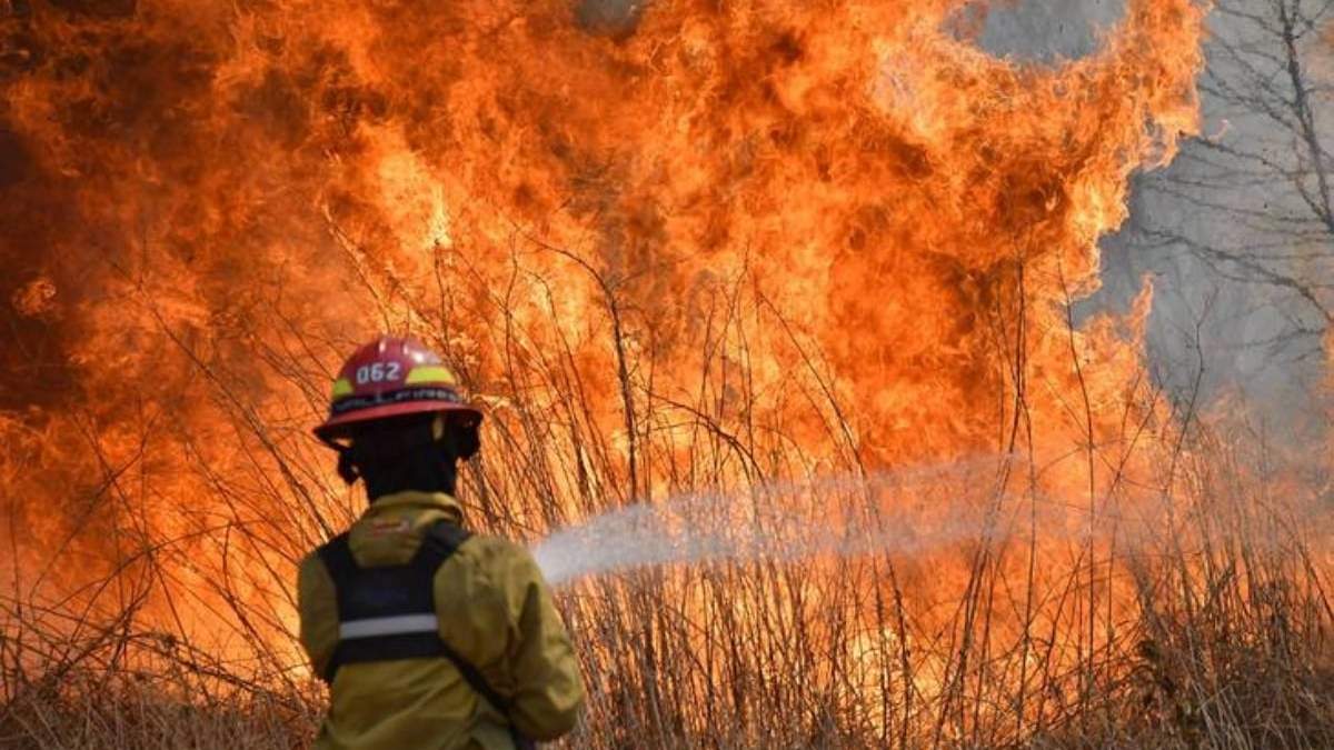 Incendios en Corrientes. Fuente: (Twitter)