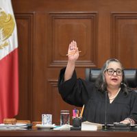 Siete ministros alistan su renuncia para no participar en la elección