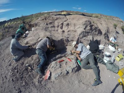 El Chocón: hallaron a un nuevo dinosaurio en Neuquén